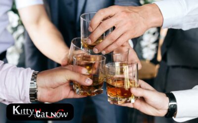 Planning a Bachelor Party? Let Kitty Cat Now Handle It All!