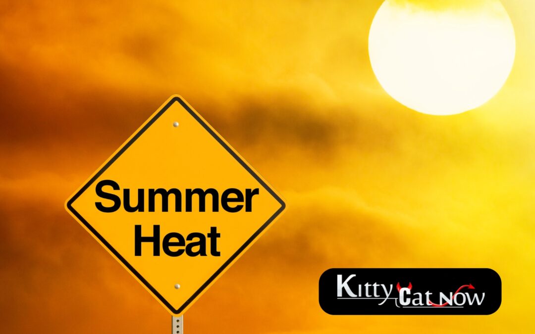 How to Heat Up Your Summer Parties with Exotic Dancers