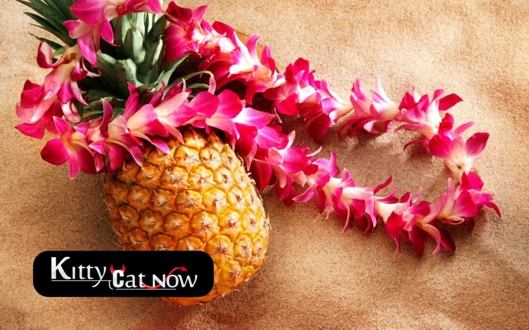 Top 5 Summer Party Themes with Strippers