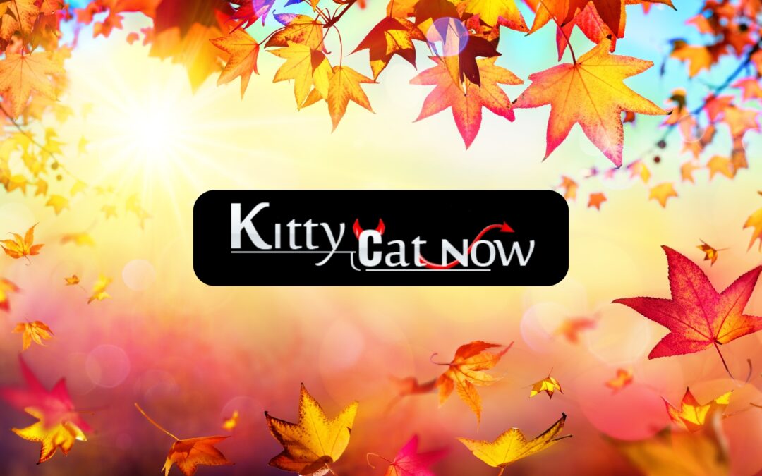 Why Fall Is the Best Season for Bachelor & Bachelorette Parties