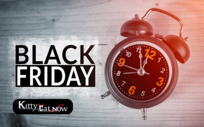 Black Friday Party Ideas: Celebrate Big with Exotic Dancers