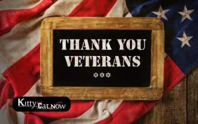 Veterans Day Ideas: Private Entertainers Bring the Party to You