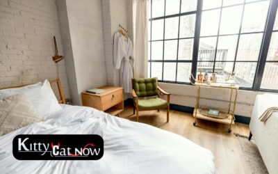 Planning a Private Airbnb Party with Strippers