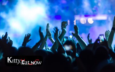 Why Booking Strippers from an Agency Is Safer Than Independents