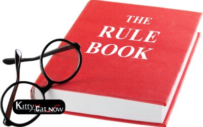 Bachelor Party House Rules Before the Strippers Arrive