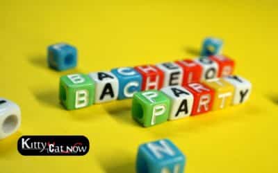 Bachelor Party Ideas | Set the Perfect Party Vibe