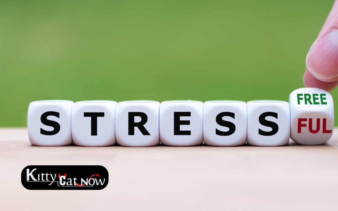 Hosting Private Party Entertainment at Home: A Stress-Free Guide