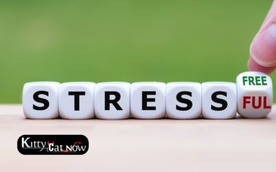 Hosting Private Party Entertainment at Home: A Stress-Free Guide