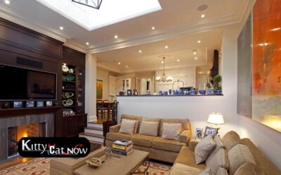 Transforming Your Living Room into a VIP Lounge