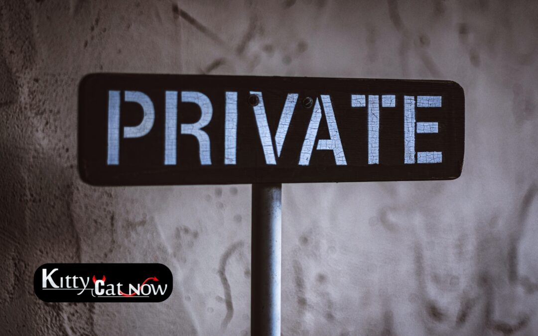 Why Private Party Entertainment Beats the Club Scene