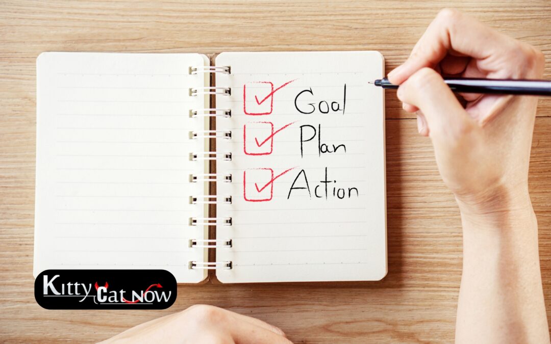 Bachelor Party Checklist for Booking Strippers