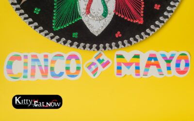 Cinco de Mayo Party Ideas: Tacos, Tequila & Private Strippers