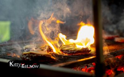 Memorial Day Party Ideas: BBQ, Private Entertainment & VIP Vibes