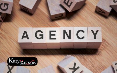 How to Choose a Legit Stripper Agency