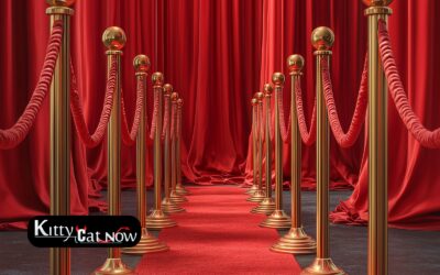 Why Booking Strippers Creates a VIP Experience