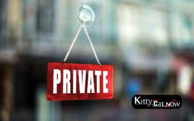 Why Private Stripper Entertainment is the New Standard