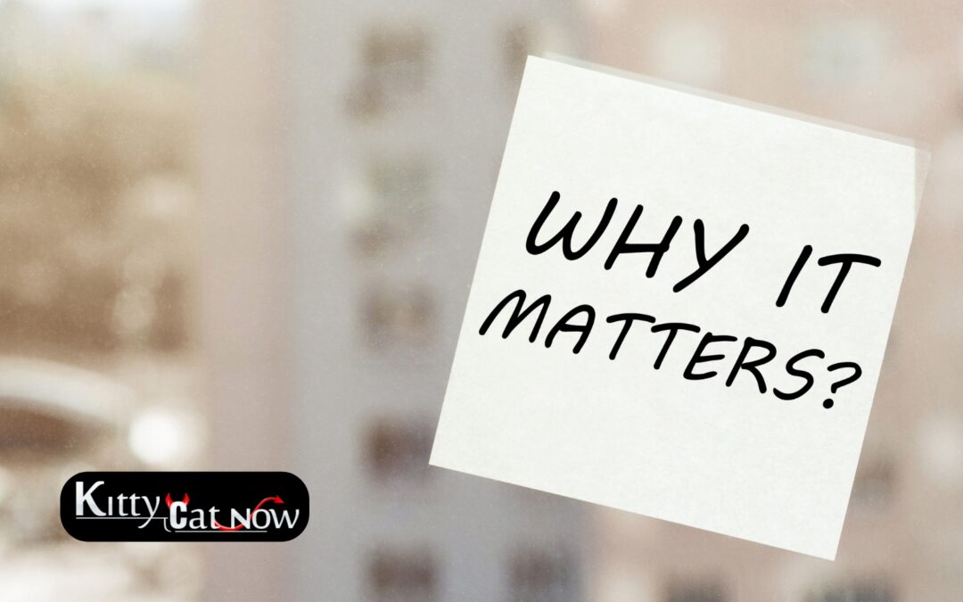 Why Booking Strippers in Advance Matters