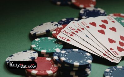 Poker Night Upgrade: Private Entertainment for Your Home Game