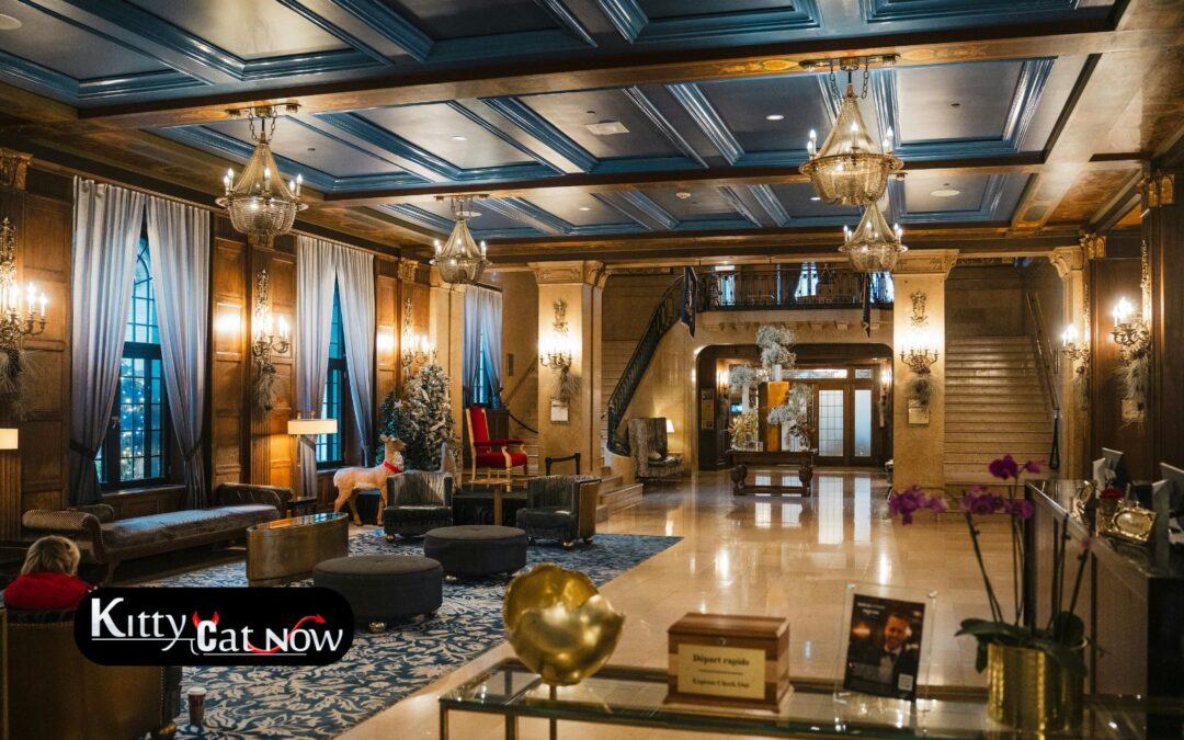 Hotel Suite vs. House Rental: Where to Host Your Bachelor Party