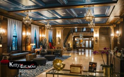 Hotel Suite vs. House Rental: Where to Host Your Bachelor Party